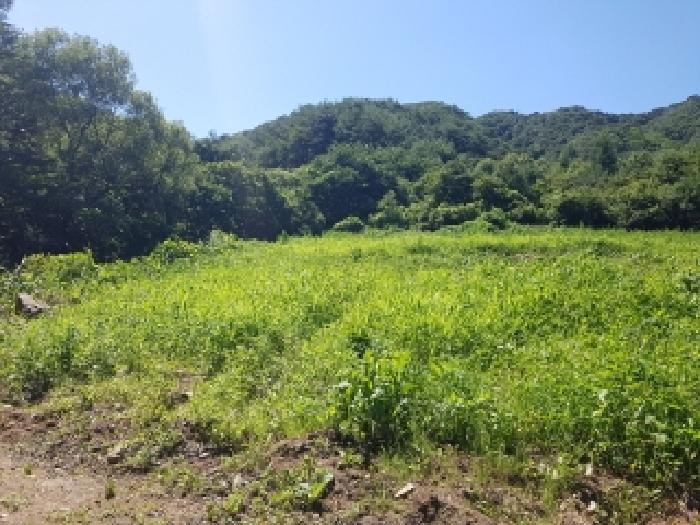 강원특별자치도 홍천군 내촌면 물걸리 1577 전 경매 사진 13