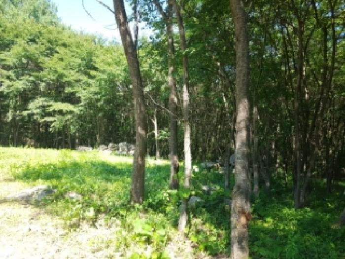 강원특별자치도 홍천군 내촌면 물걸리 1577 전 경매 사진 17