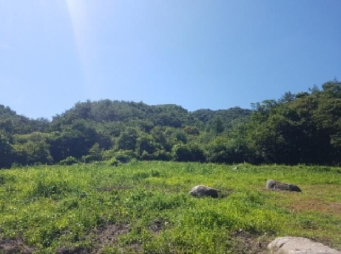강원특별자치도 홍천군 내촌면 물걸리 1577 전 경매 사진 21