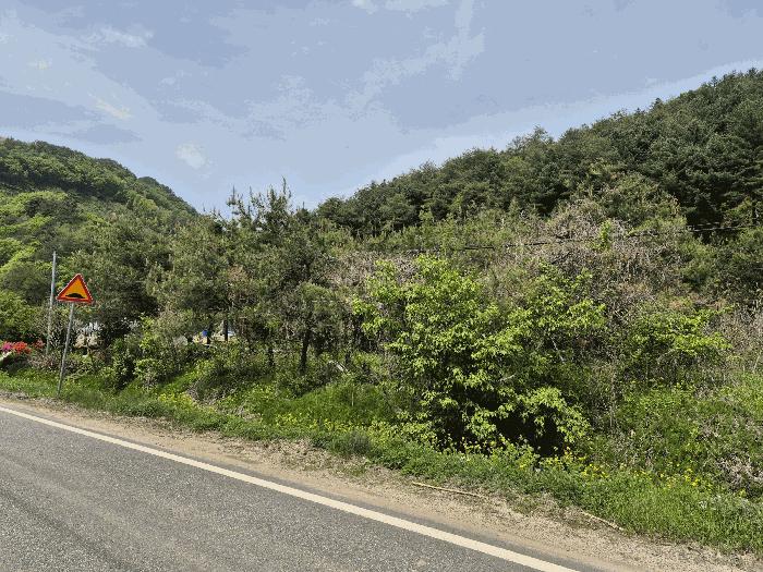 강원특별자치도 홍천군 내촌면 물걸리 1577 전 경매 사진 9