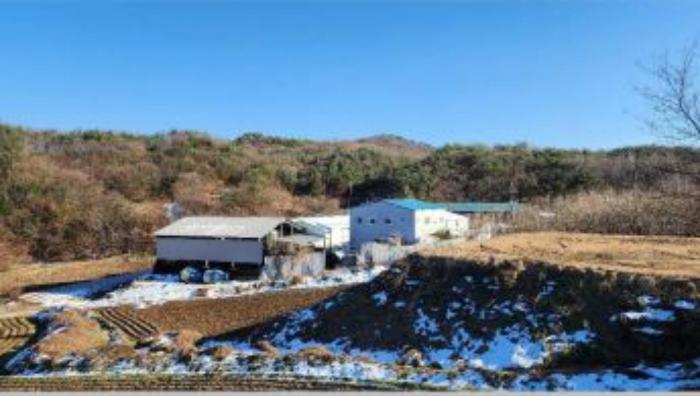 강원특별자치도 원주시 소초면 수암리 산219-3 임야 경매 사진 7