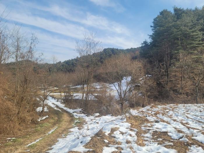 강원특별자치도 횡성군 둔내면 자포곡리 114-4 전 경매 사진 1