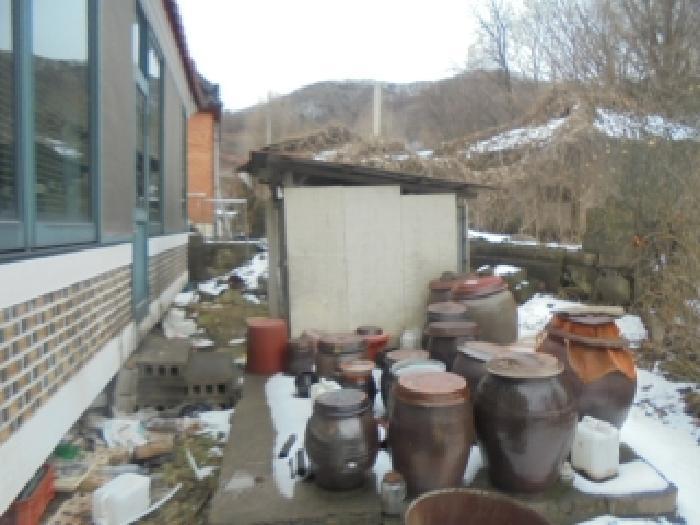 충청북도 음성군 생극면 오생리 644-2 답 경매 사진 15