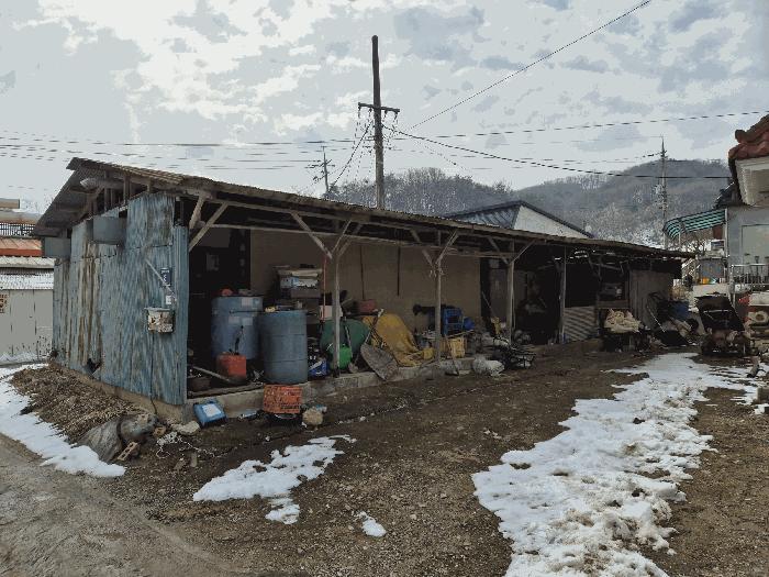 충청북도 음성군 생극면 오생리 644-2 답 경매 사진 3