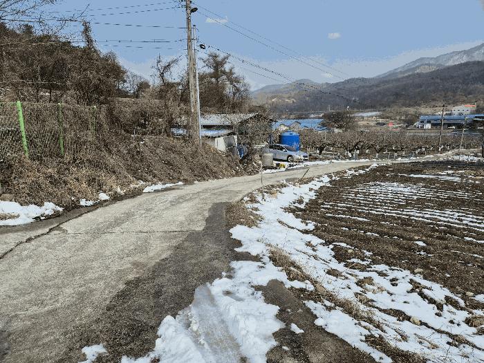 충청북도 음성군 생극면 오생리 644-2 답 경매 사진 8