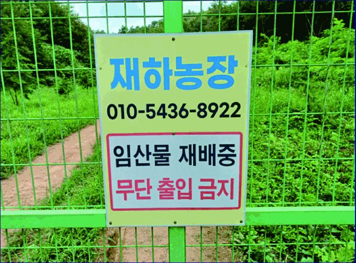 충청남도 계룡시 엄사면 도곡리 산20 임야 경매 사진 17