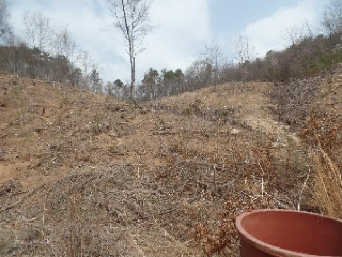 충청남도 계룡시 엄사면 도곡리 산20 임야 경매 사진 23