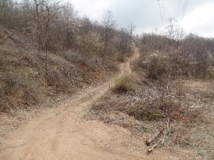 충청남도 계룡시 엄사면 도곡리 산20 임야 경매 사진 25