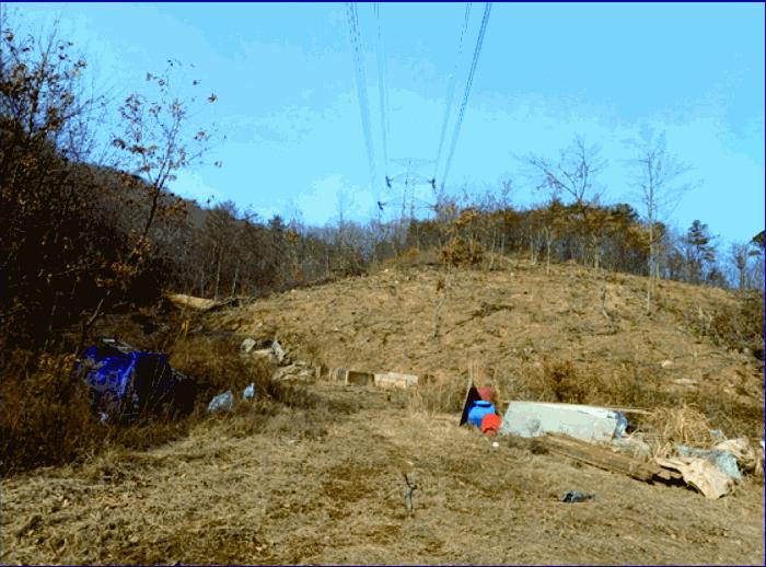 충청남도 계룡시 엄사면 도곡리 산20 임야 경매 사진 3