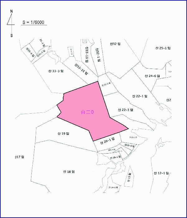 충청남도 계룡시 엄사면 도곡리 산20 임야 경매 사진 33