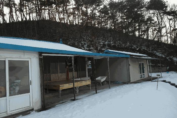 충청남도 부여군 규암면 신성리 526-1 전 경매 사진 1