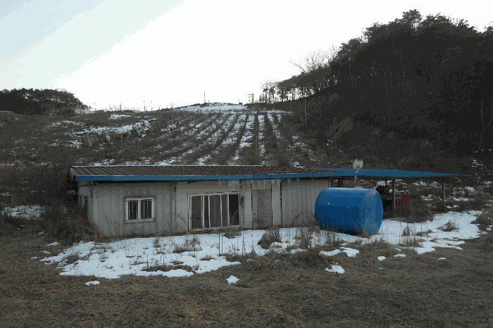 충청남도 부여군 규암면 신성리 526-1 전 경매 사진 10