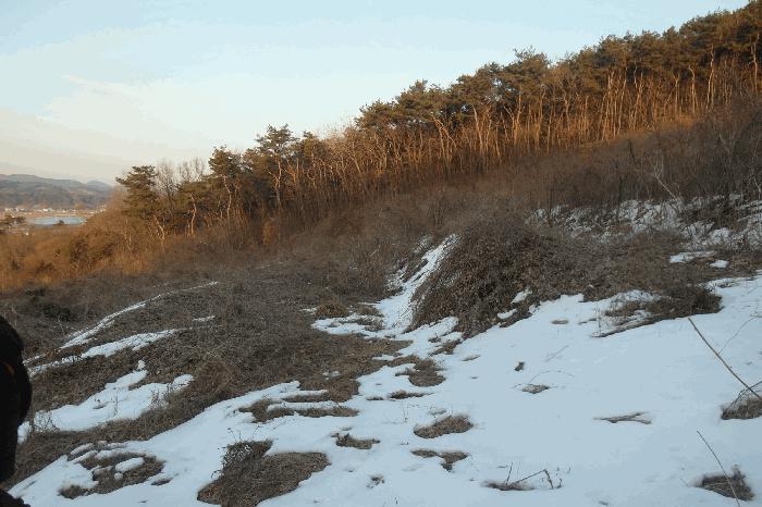 충청남도 부여군 규암면 신성리 526-1 전 경매 사진 12