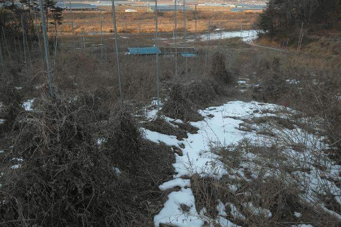 충청남도 부여군 규암면 신성리 526-1 전 경매 사진 18