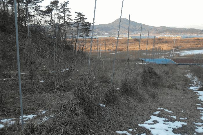 충청남도 부여군 규암면 신성리 526-1 전 경매 사진 25