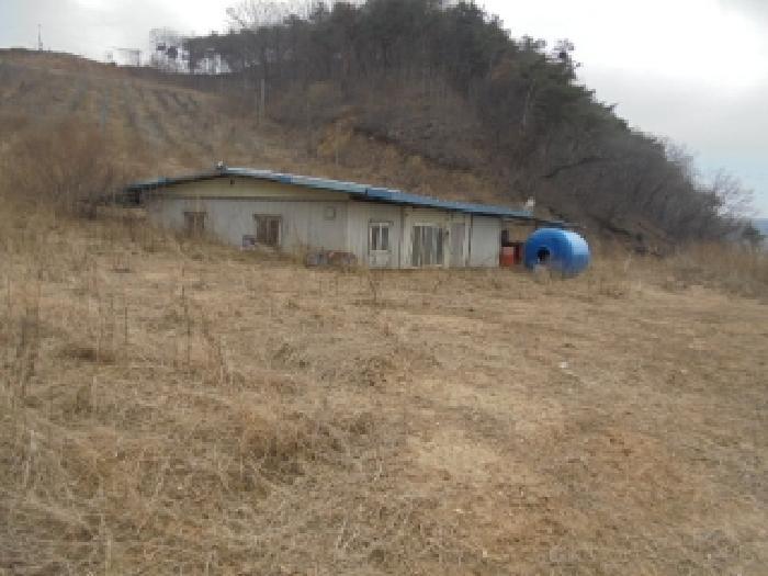 충청남도 부여군 규암면 신성리 526-1 전 경매 사진 31