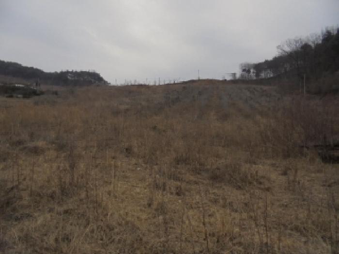 충청남도 부여군 규암면 신성리 526-1 전 경매 사진 35