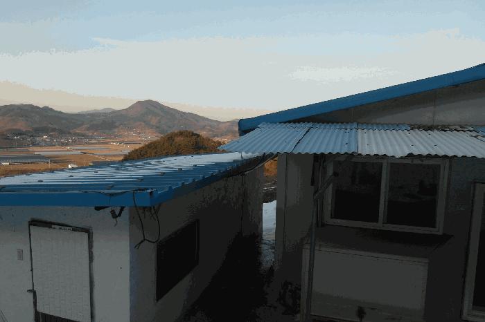 충청남도 부여군 규암면 신성리 526-1 전 경매 사진 4