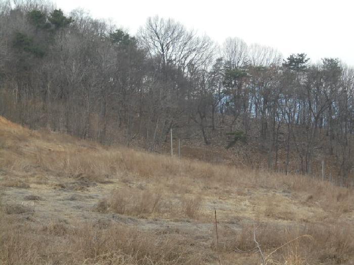 충청남도 부여군 규암면 신성리 526-1 전 경매 사진 40