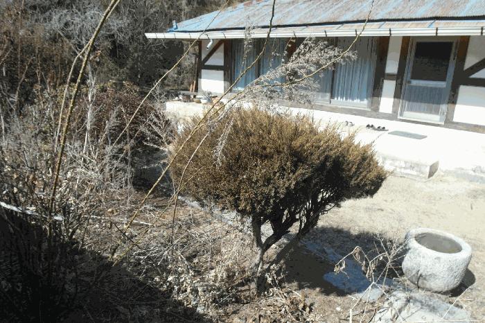 충청남도 논산시 부적면 덕평리 12 전 경매 사진 12