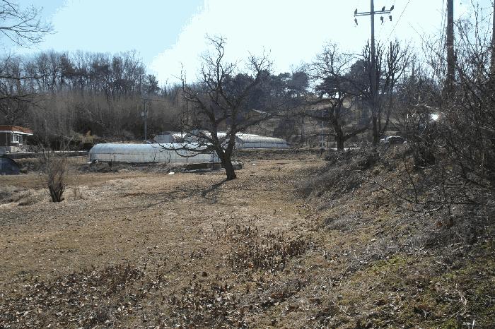 충청남도 논산시 부적면 덕평리 12 전 경매 사진 14