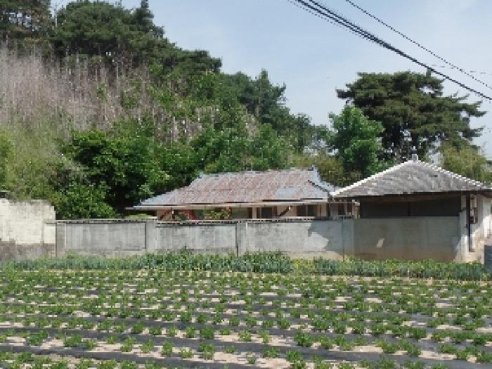 충청남도 논산시 부적면 덕평리 12 전 경매 사진 19