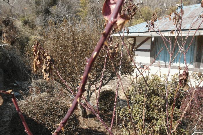 충청남도 논산시 부적면 덕평리 12 전 경매 사진 9