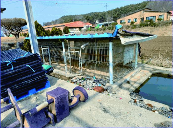 충청남도 부여군 석성면 현내리 114-3 창고 경매 사진 26