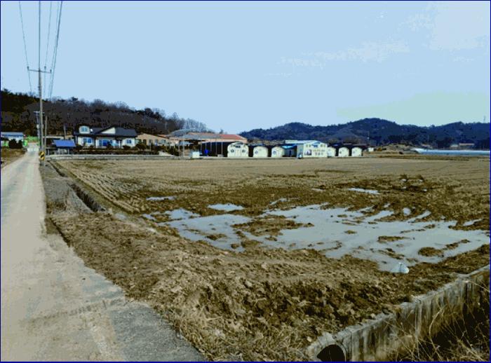 충청남도 부여군 석성면 현내리 114-3 창고 경매 사진 36