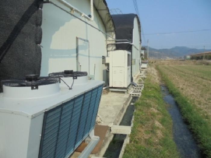 충청남도 부여군 석성면 현내리 114-3 창고 경매 사진 45