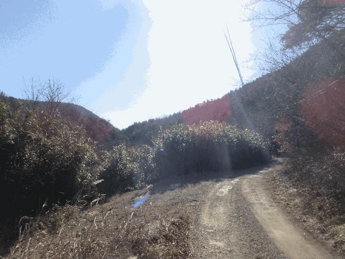 경상북도 포항시 임야