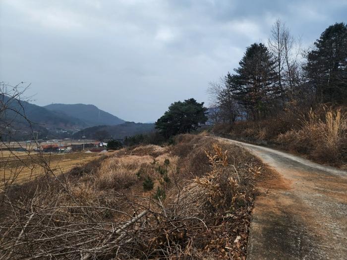 경상남도 산청군 단성면 운리 산75-15 임야 경매 사진 1