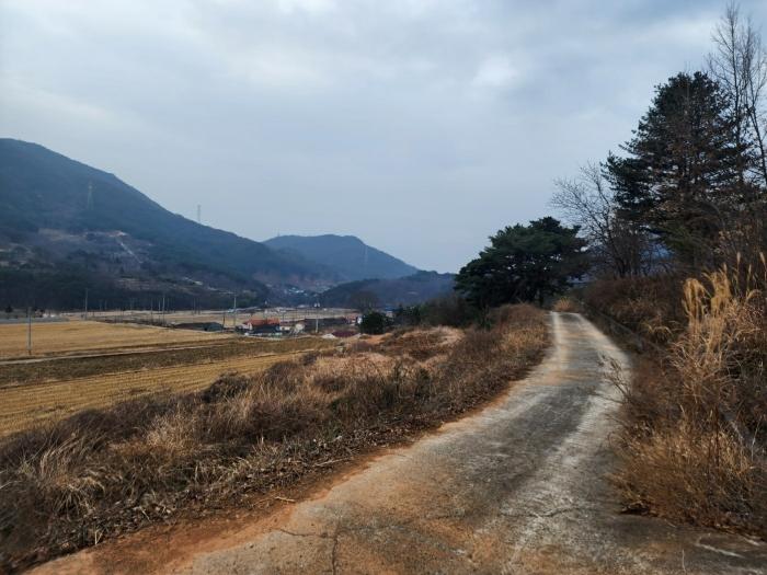경상남도 산청군 단성면 운리 산75-15 임야 경매 사진 4
