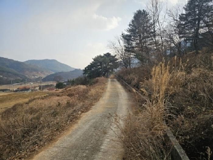 경상남도 산청군 단성면 운리 산75-15 임야 경매 사진 6