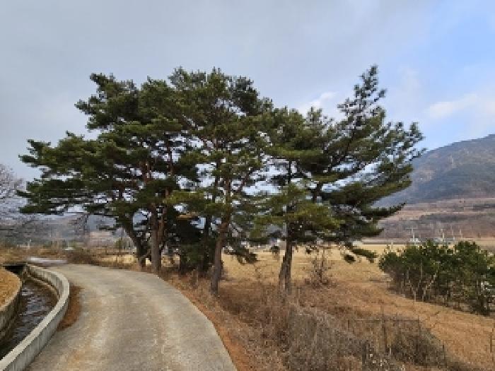 경상남도 산청군 단성면 운리 산75-15 임야 경매 사진 7