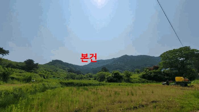 전북특별자치도 진안군 주천면 무릉리 산17-11 임야 경매 사진 1