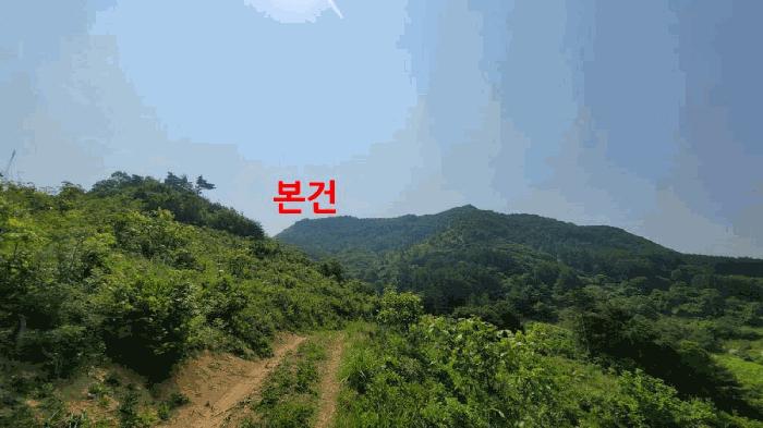 전북특별자치도 진안군 주천면 무릉리 산17-11 임야 경매 사진 2