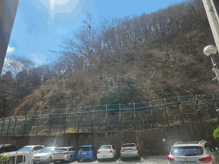 경상남도 거제시 옥포동 산150-2 임야 경매 사진 2
