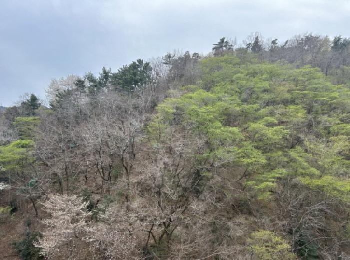경상남도 거제시 옥포동 산150-2 임야 경매 사진 4