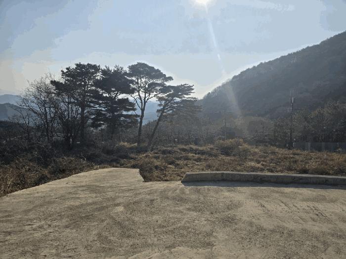 경상남도 밀양시 삼랑진읍 우곡리 산17-124 임야 경매 사진 1