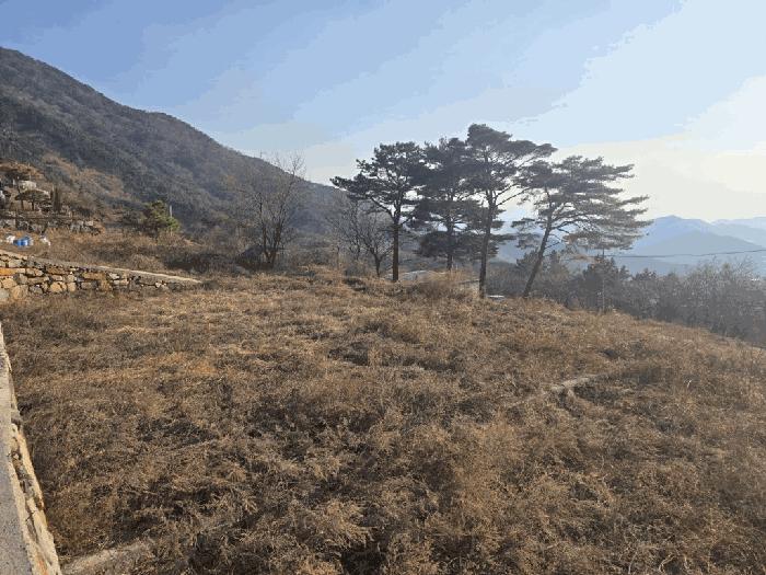 경상남도 밀양시 삼랑진읍 우곡리 산17-124 임야 경매 사진 4