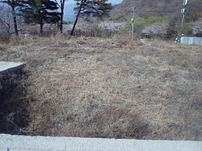 경상남도 밀양시 삼랑진읍 우곡리 산17-124 임야 경매 사진 6