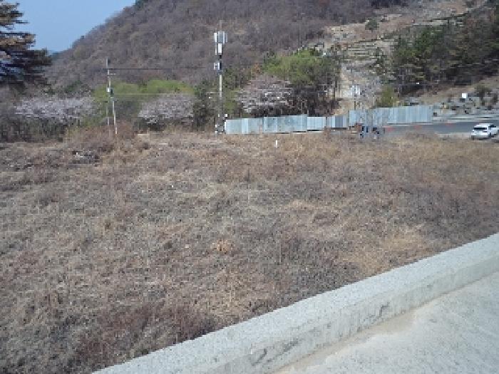 경상남도 밀양시 삼랑진읍 우곡리 산17-124 임야 경매 사진 7