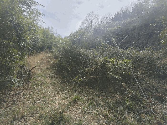 경상남도 거제시 전