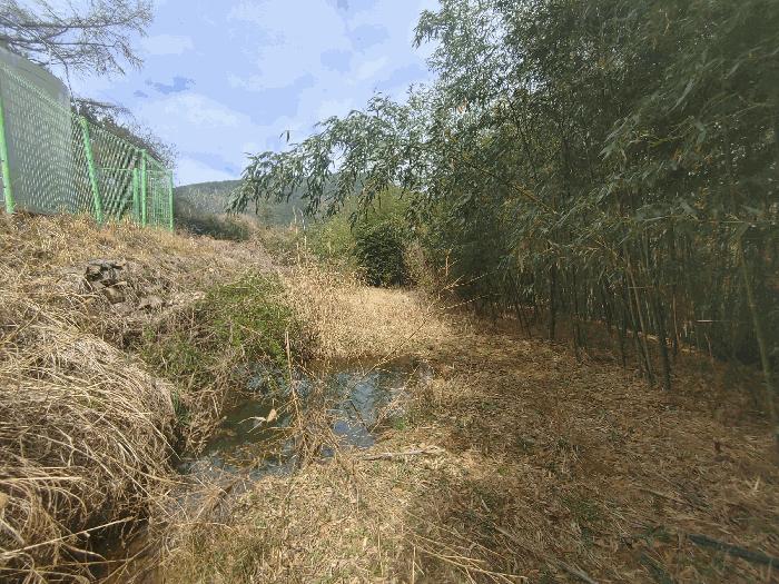 경상남도 거제시 둔덕면 시목리 173 전 경매 사진 3