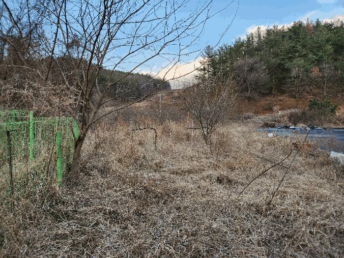 경상남도 창녕군 장마면 동정리 628-5 전 경매 사진 2