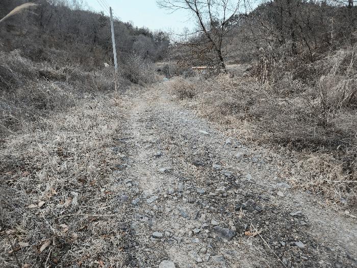 경상남도 창녕군 장마면 동정리 628-5 전 경매 사진 4