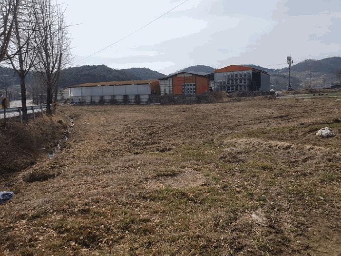 경상남도 창녕군 유어면 광산리 386-1 답 경매 사진 4