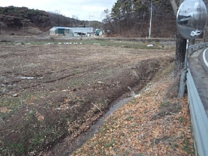 경상남도 창녕군 유어면 광산리 386-1 답 경매 사진 6