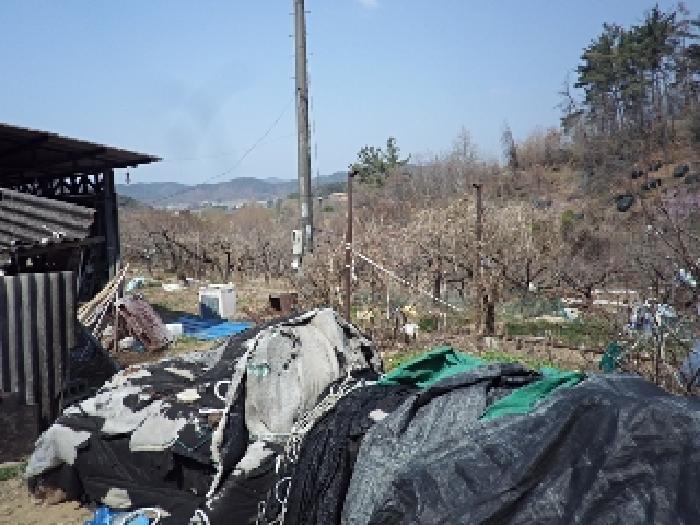 경상남도 창녕군 계성면 명리 191 답 경매 사진 11